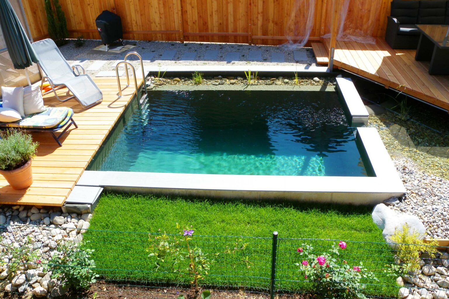 Teich & Co Ihr Profi für Schwimmteiche, Gartengestaltung & Co.