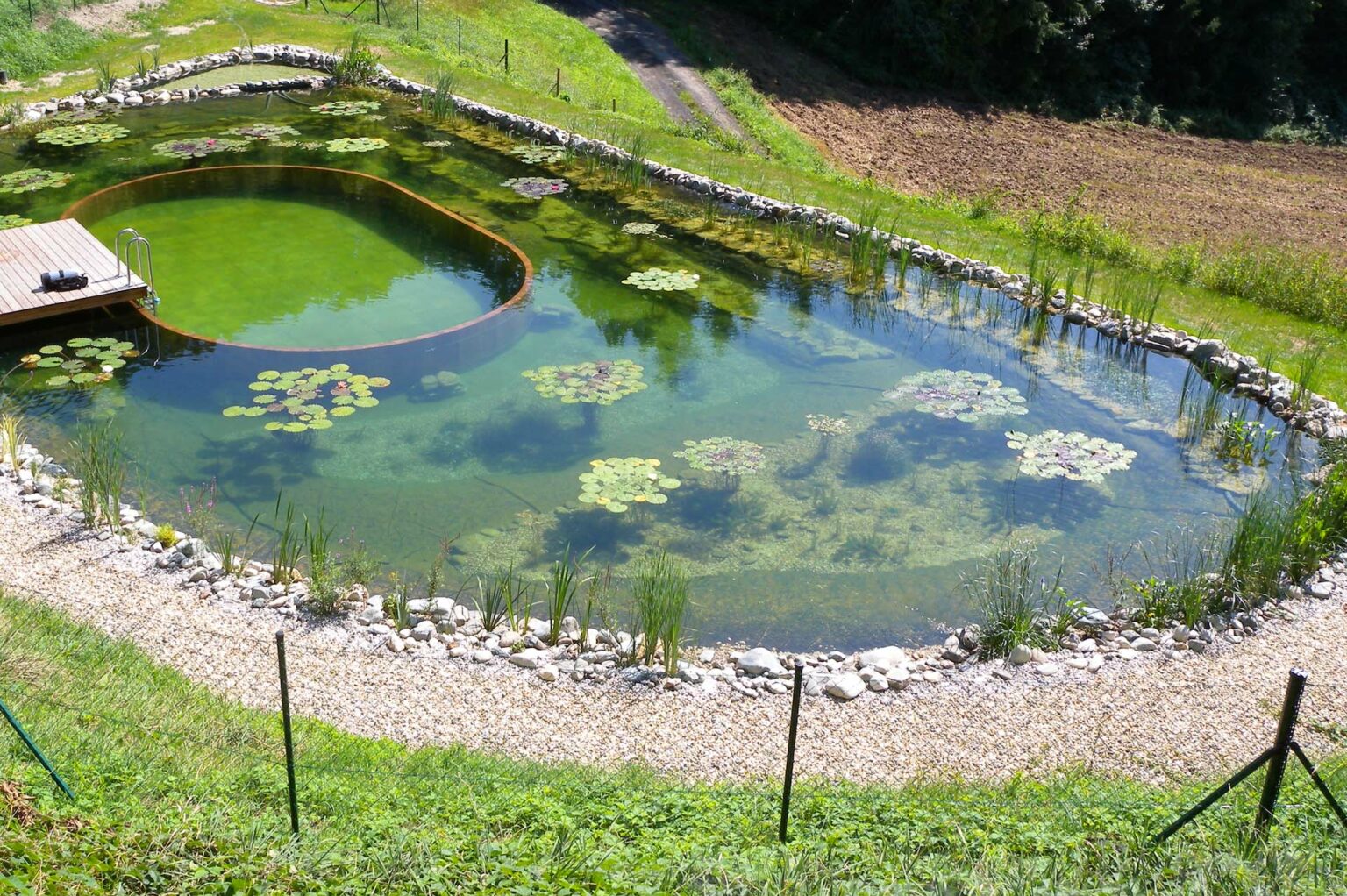 Teich & Co Ihr Profi für Schwimmteiche, Gartengestaltung & Co.