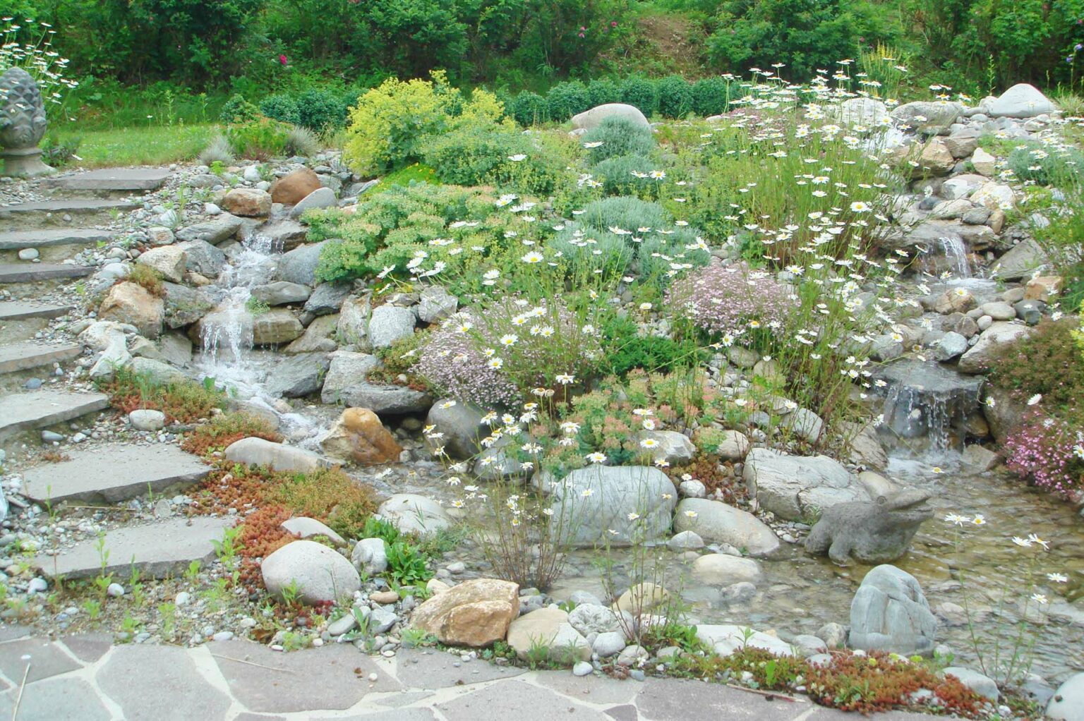 Teich & Co Ihr Profi für Schwimmteiche, Gartengestaltung & Co.